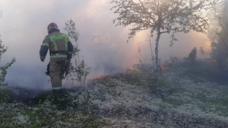На Ямале природные пожары охватили 3 694 гектаров леса