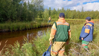 Ямальские спасатели пришли на помощь заблудившемуся в лесу мужчине