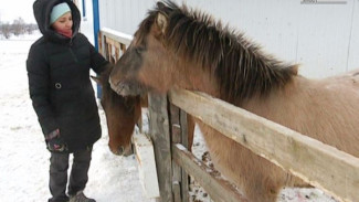 Иппотерапия на Крайнем Севере: как салехардские волонтеры пытаются создать полноценную среду для жизни лошадей