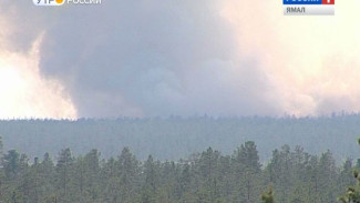 На Ямале с начала пожароопасного сезона было 74 природных пожара