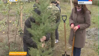 Жители Лабытнанги высадили деревья в память о тех, кто не вернулся с войны