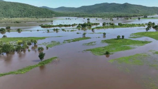 Дождевой паводок и его последствия: в Приморье действует режим ЧС