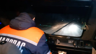 В Приуральском районе ямалспасовцы спасли маленького тундровика