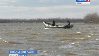 За ловлю муксуна житель села Яр-Сале заплатит больше 100 тысяч рублей