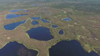 Из-за потепления на Ямале озера превращаются в болота 
