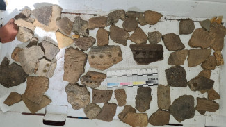 Земля прячет историю: житель Сеяхи случайно нашел уникальные артефакты