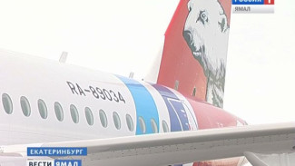 В Екатеринбурге из-за сильных морозов не смогли завести самолет АК «Ямал»