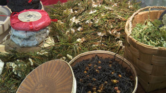 «Чай как искусство»: на Ямале расширят производство традиционного напитка
