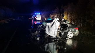 2 человека погибли, 3 пострадали: на Ямале произошло смертельное ДТП