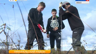 На Ямале появилась мониторинговая площадка по изучению вечной мерзлоты