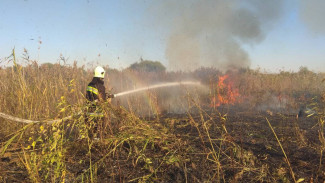 12 спасателей тушат лесной пожар в Пуровском районе
