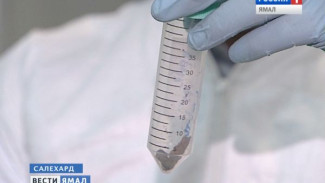Найти ДНК возбудителей чумы или сибирской язвы. Микробиолог из Санкт-Петербурга изучил зеленоярскую мумию
