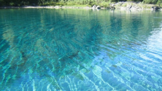 «Край 300 озер» может появиться в Тюменской области