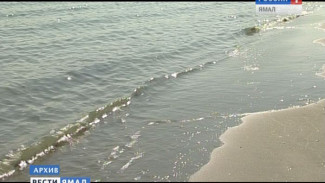 В Ноябрьске обнаружили тело мужчины в одном из городских водоемов