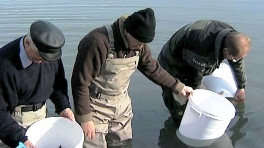 Жители Арктики проявляют интерес к тому, чтобы самостоятельно заниматься рыборазведением