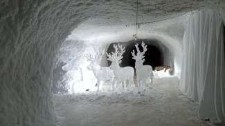 Уникальный музей в ледяной пещере: Тазовский мерзлотник привлекает туристов
