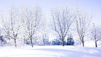 Погода в Салехарде: в черверг 15 февраля на Ямале будут держаться крепкие морозы
