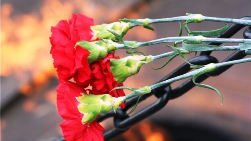 В Ноябрьске пьяный мужчина воровал цветы у Вечного огня, чтобы потом их подарить