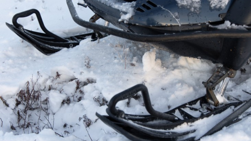 Мечта о снегоходе обошлась жительнице Тарко-Сале в 730 тысяч рублей 