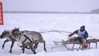 В Ноябрьске с размахом отметили День оленевода