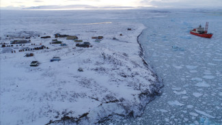 Российские ученые тестируют систему дистанционной медицинской помощи для полярников