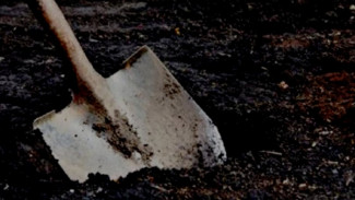 Пропавшая на Ямале девушка из Приморья найдена убитой и закопанной в лесу