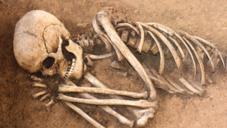 В Новом Уренгое недалеко от кафе обнаружили человеческие кости