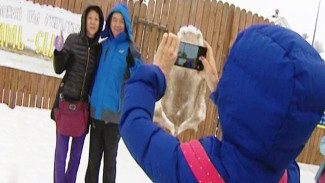 В Заполярье очередной туристический бум: тысячи иностранцев едут в Арктику за русской зимой