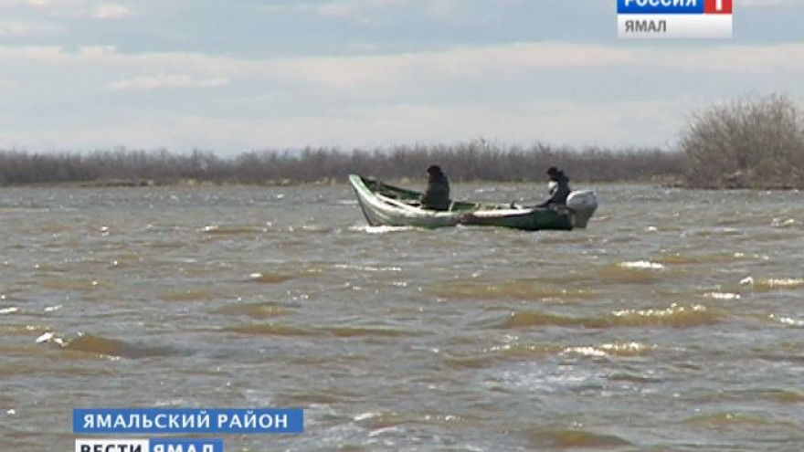 За ловлю муксуна житель села Яр-Сале заплатит больше 100 тысяч рублей