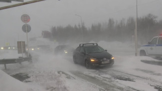 На Ямале разыгралась непогода: муниципалитеты округа накрыло снегом 