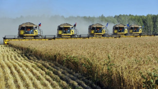 Владимир Якушев: «Урожай 2023 года в полной мере удовлетворит внутренний рынок»