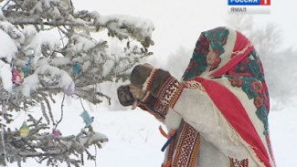 Новый год посреди тундры: живая елка, Дед Мороз на нарте и минерал с Уральских гор