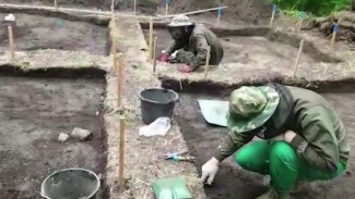 Обнаружили 9 захоронений: ямальские археологи подвели итоги летнего полевого сезона