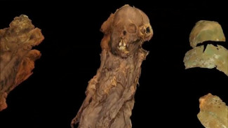Видео: 3D-модель мумии ямальского мальчика