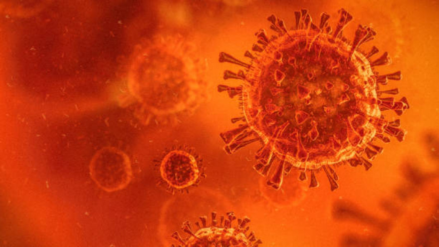 За прошедшие сутки менее 30 человек заболели коронавирусом в ЯНАО
