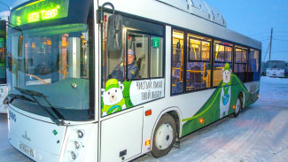 Экологичные и умные: в Салехарде новые газомоторные автобусы оценили первые пассажиры