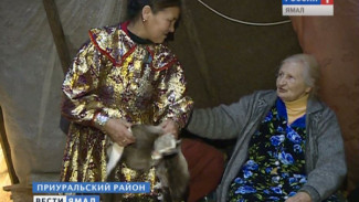 Отдых на вольном воздухе. «Союз оленеводов Ямала» организовал для харповских пенсионеров необычную экскурсию