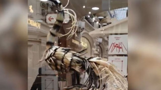 Ноябрьский мастер подарил тюменцам волшебную Жар-птицу