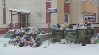 Зловонные Эвересты: салехардцы жалуются на переполненные мусорные контейнеры