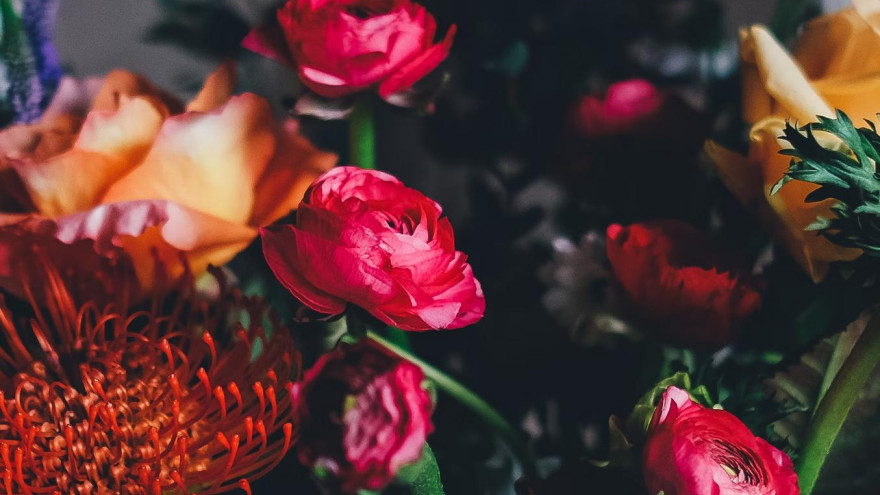 Смелый колокольчик или наглый тюльпан: цветочный гороскоп по дате рождения 
