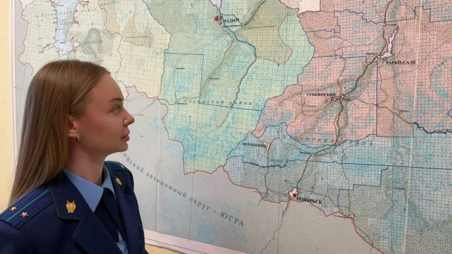 Незаконная рубка леса обошлась ямальской компании в 724 тысячи рублей