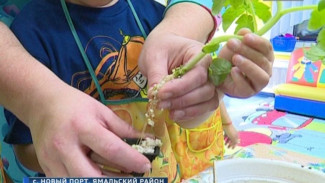 В Ямальском районе педагоги и воспитанники попробовали свои силы в садоводстве