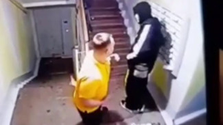 Глава СК России поручил завести уголовное дело после нападения на подростка в Новом Уренгое