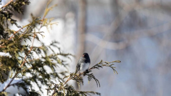 Солнечные прояснения и ночные морозы: на Ямале 21 апреля ожидается до –22 градусов
