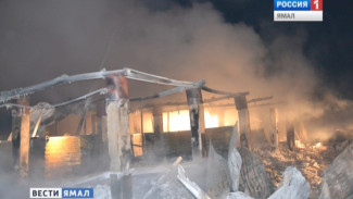 В Муравленко сгорел человек во время пожара в животноводческом комплексе