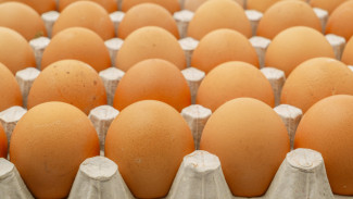 Дорогой десяток: на Ямале растет в цене куриное яйцо