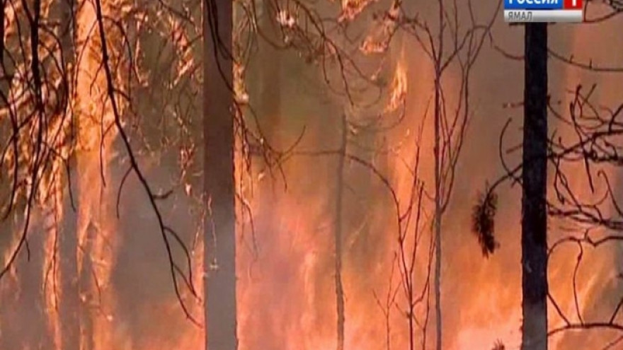На Ямале действует 8 лесных пожаров