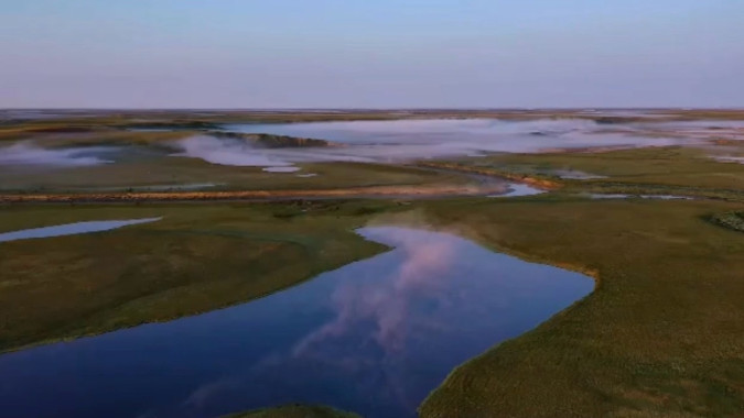 Орнитологи раскроют секреты арктических экспедиций на заповедный Ямал