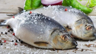 Предупреждён - значит вооружён: тюменские учёные рассказали о негативном влиянии рыбы на иммунитет
