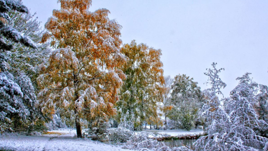 Погода в Салехарде: небольшой минус, ветер и снег